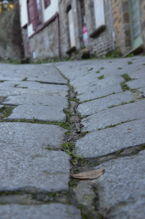 2016-12 France/Dinan/DSC_0168.JPG